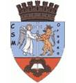 克拉约瓦大学