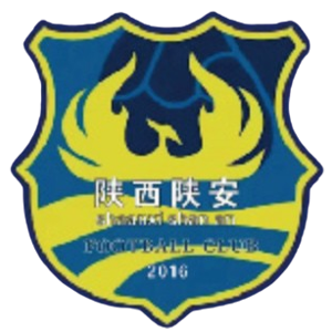 新疆金盾